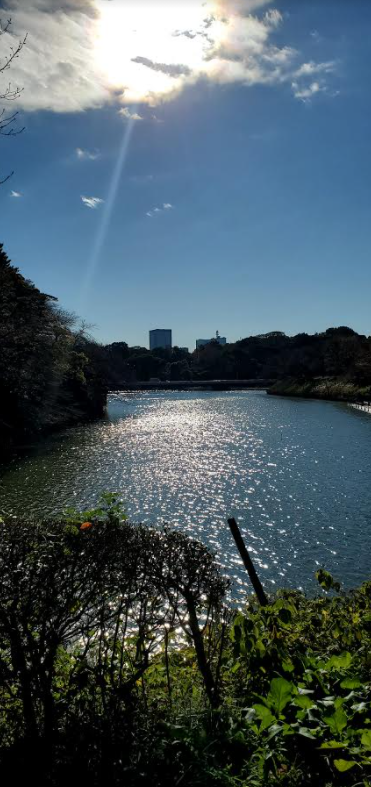 11月23日勤労感謝の日