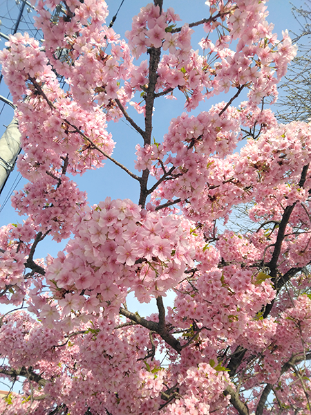 春近し