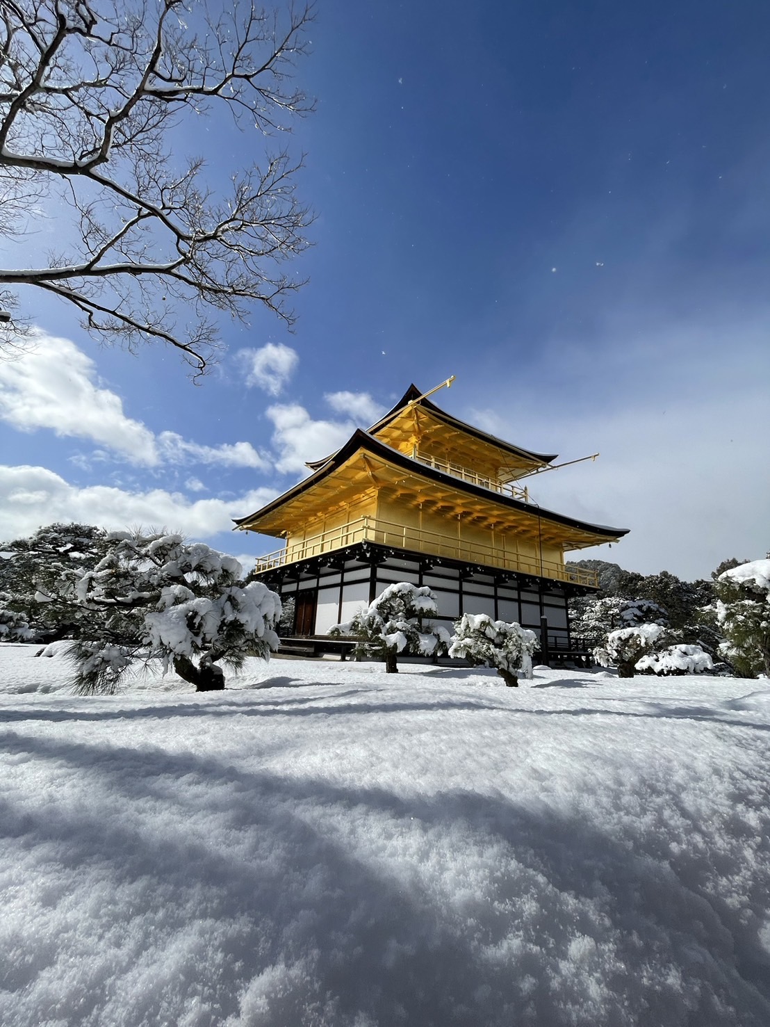 冬の金閣寺