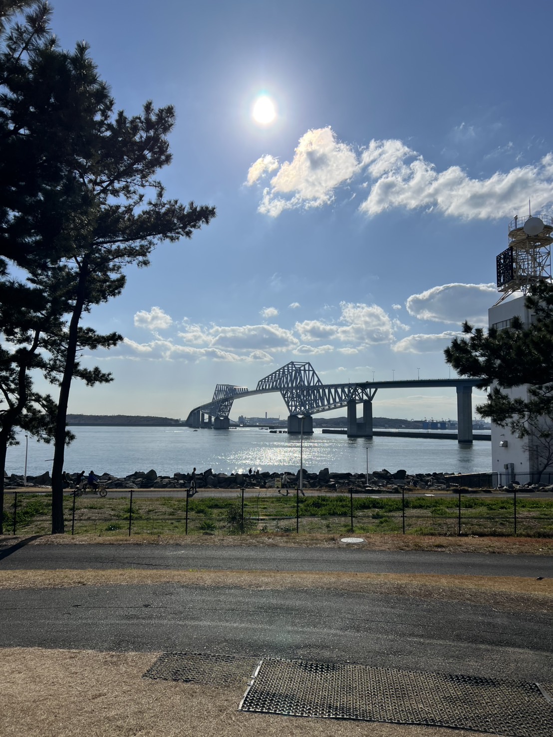 豊洲に行ってきました