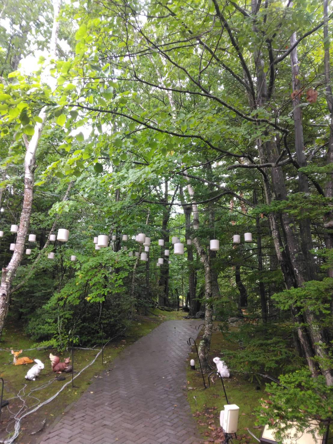 軽井沢へ行ってきました